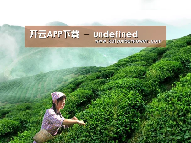 开云APP下载 - undefined