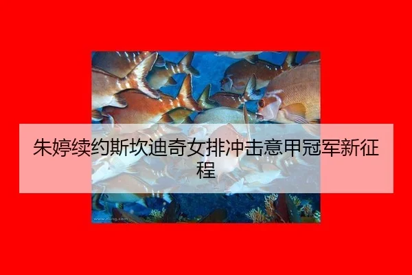 朱婷续约斯坎迪奇女排冲击意甲冠军新征程