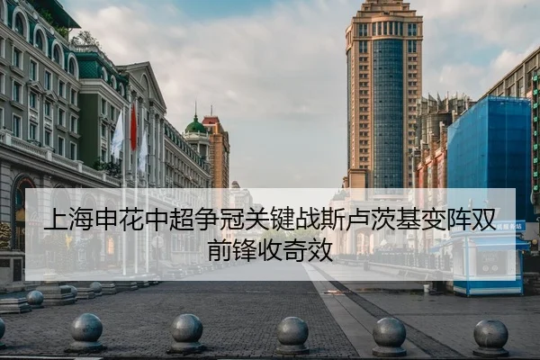 上海申花中超争冠关键战斯卢茨基变阵双前锋收奇效
