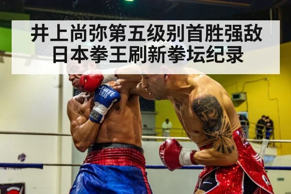 boxing knockout punch