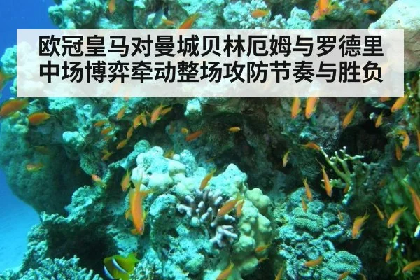 欧冠皇马对曼城贝林厄姆与罗德里中场博弈牵动整场攻防节奏与胜负