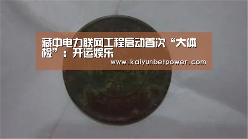 藏中电力联网工程启动首次“大体检”:开运娱乐(图1) 开运体育
