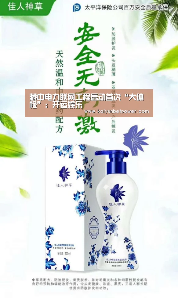 藏中电力联网工程启动首次“大体检”:开运娱乐(图3) 开运APP