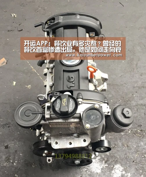开运真人